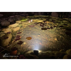 Aquascape 8-Watt Wide-Angle Light
