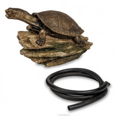 Turtle on Log Spitter pond