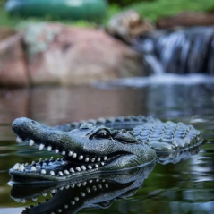 Floating Alligator Decoy
