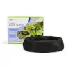 Aquatic Plant Care